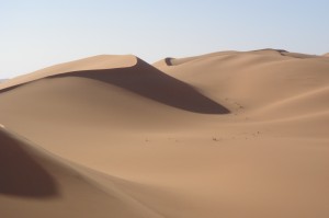Sea of sand dunes in the Sahara desert